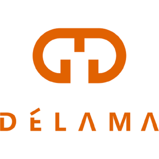 市场地位声明：delama德拉玛 全球四轮遛娃神器开创者